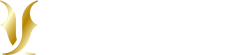 Fausti Stefano Arms